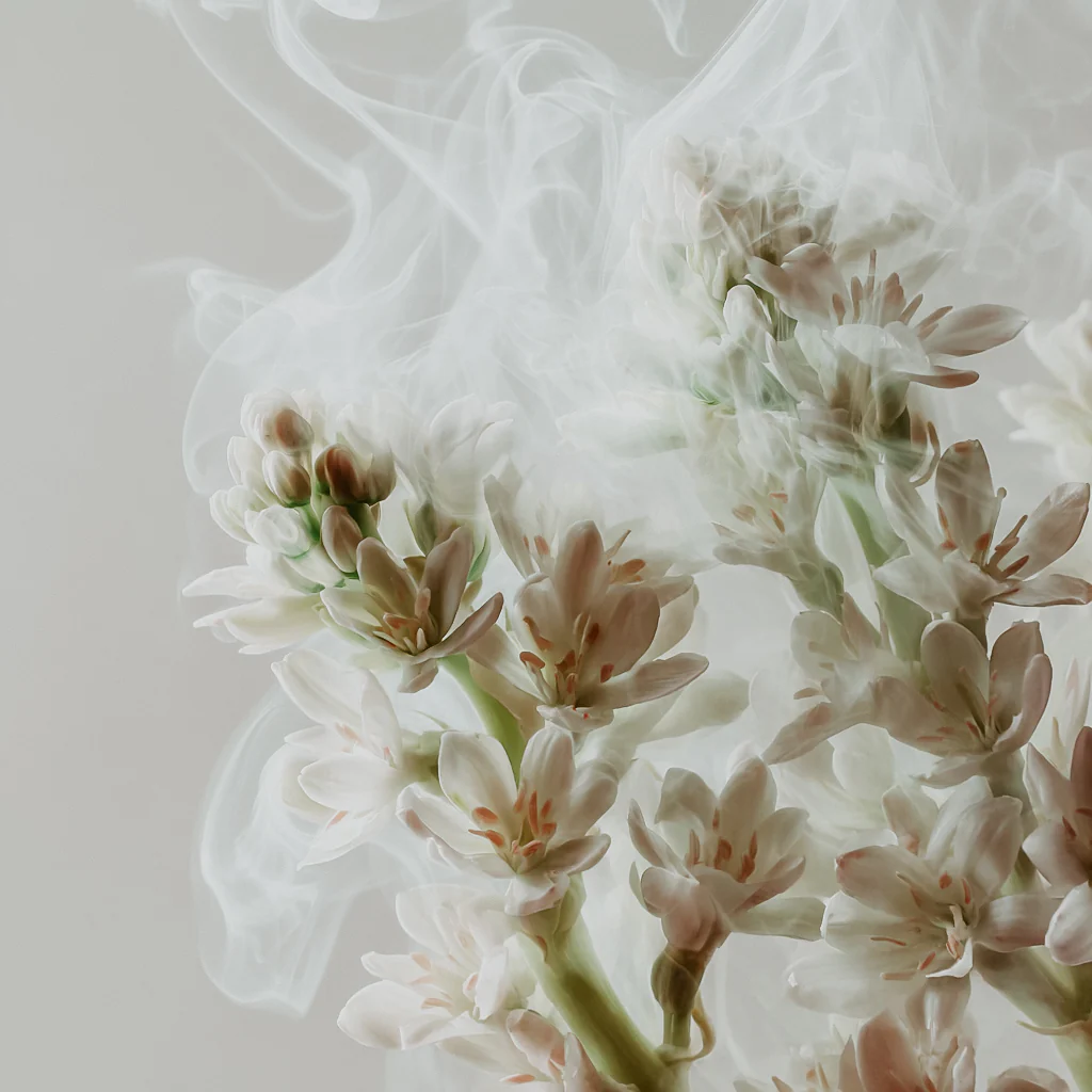 FLORAL | BOTANICAL